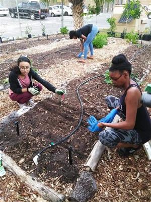 Students learn how to prepare a planting bed to grow fresh produce. Photo by Thomas Iovino.