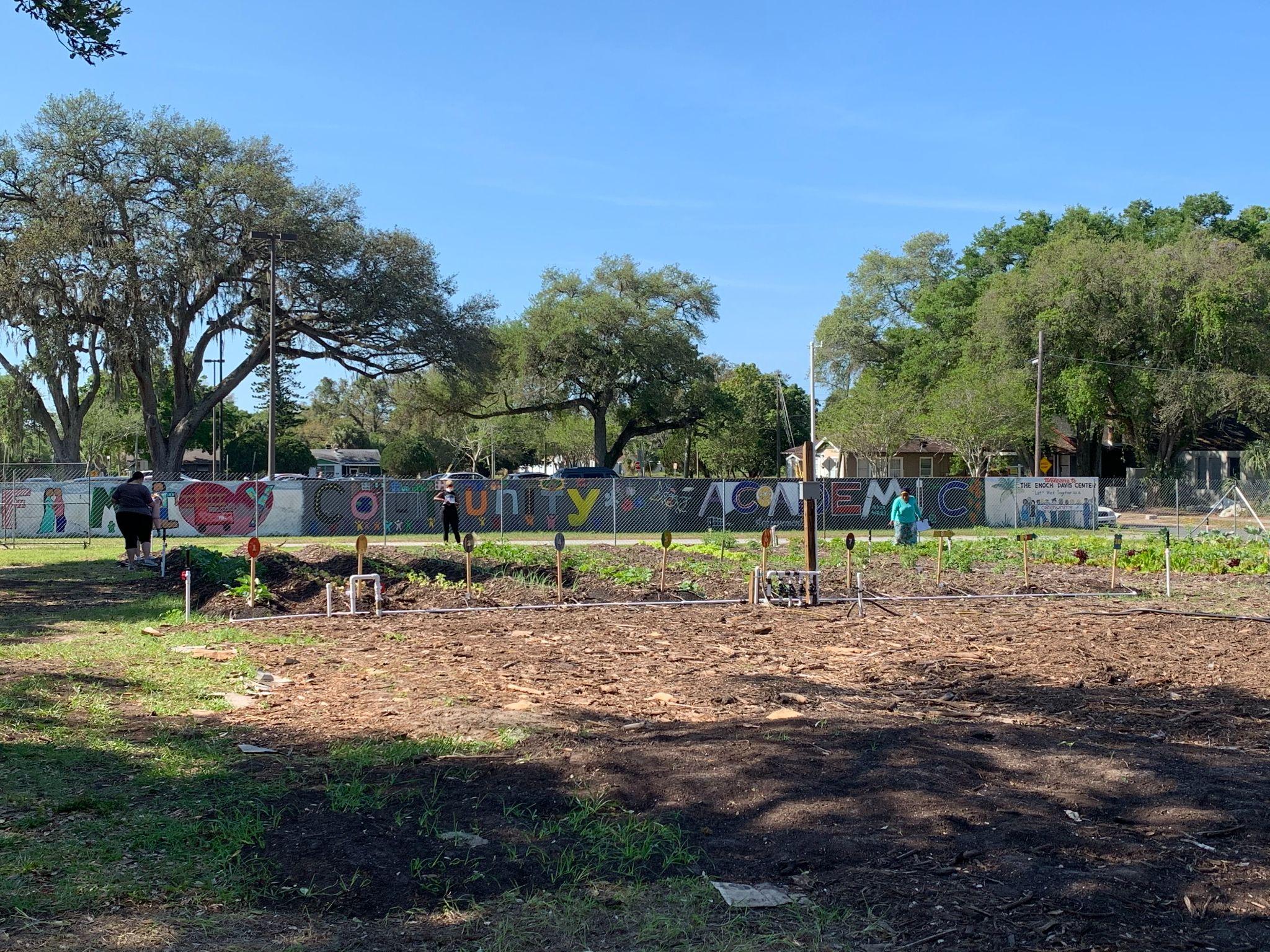 Midtown St. Petersburg has a nutrition deficit