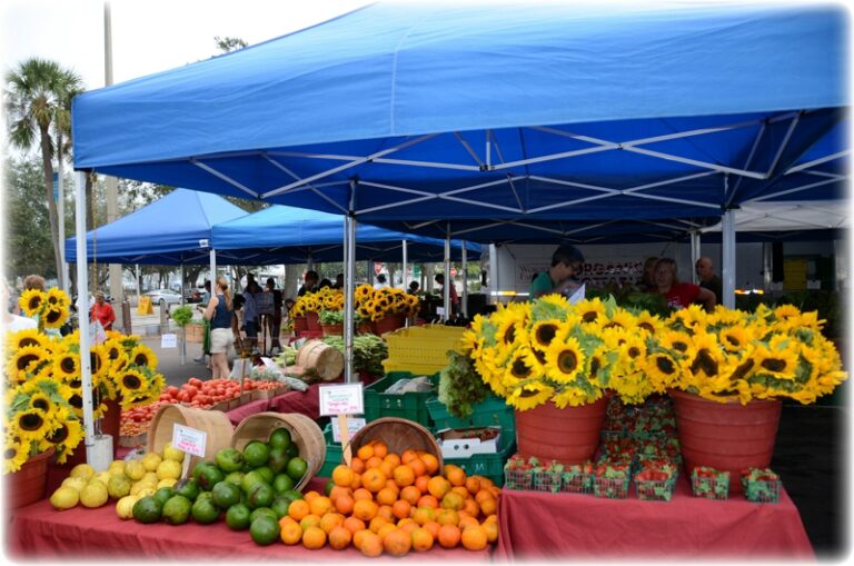 St. Petersburg Saturday Morning Market provides fresh produce to locals