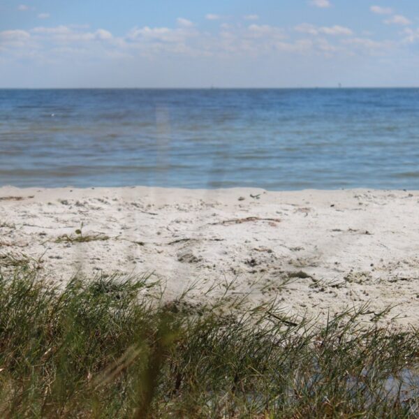 Pinellas County begins renourishing beaches without federal aid