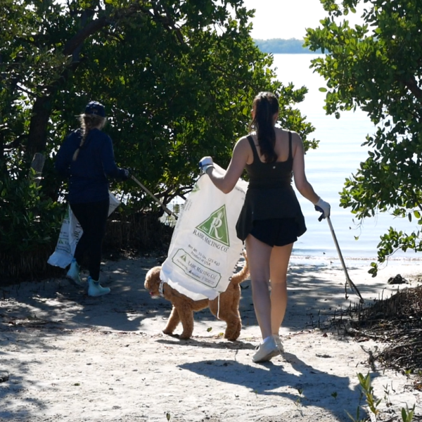 Keep Pinellas Beautiful beautifies Gandy Beach
