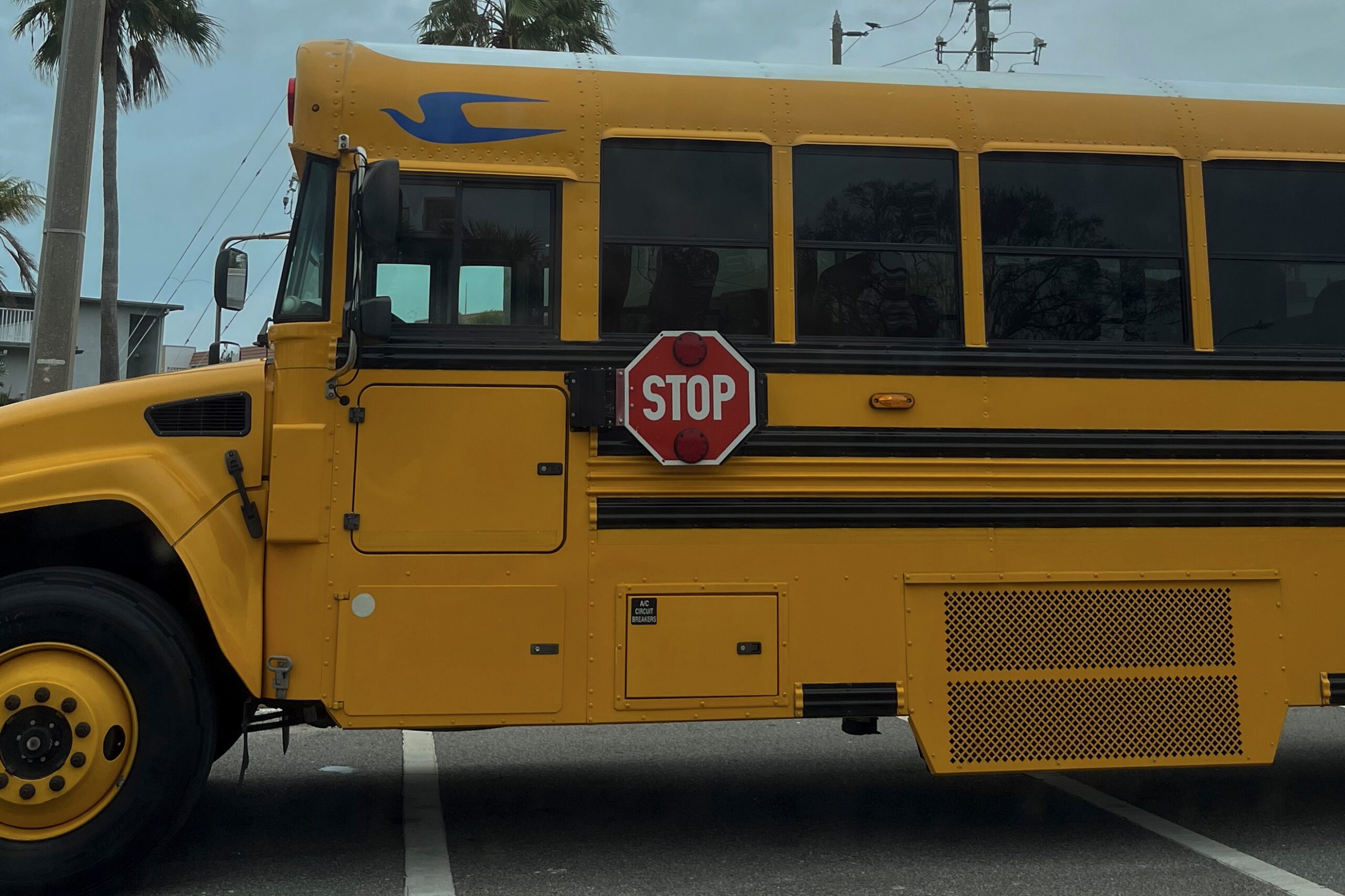 Youth homelessness rises in Pinellas County as students slip through gaps