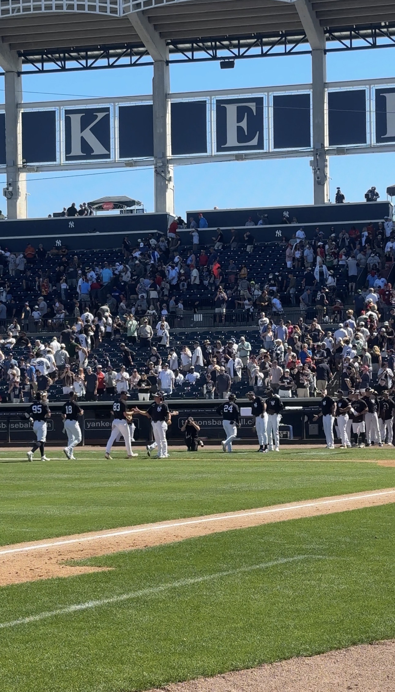 MLB spring training boosts Tampa businesses as fans flood local hotspots