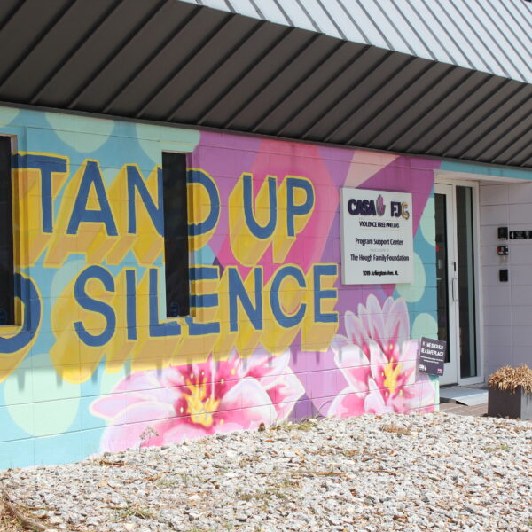 How non-profits are working to combat domestic violence in St. Petersburg