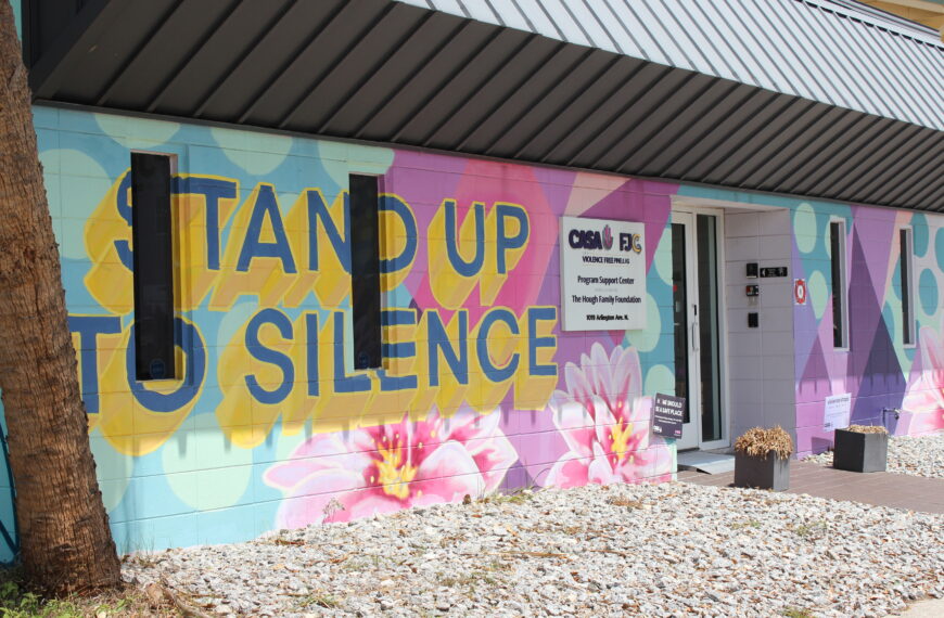 How non-profits are working to combat domestic violence in St. Petersburg