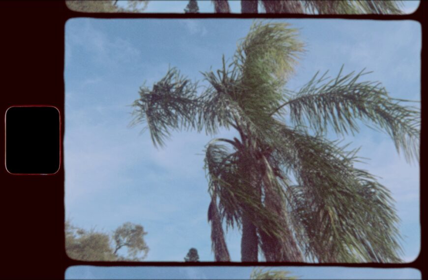 St. Petersburg gains tourists from new film incentives