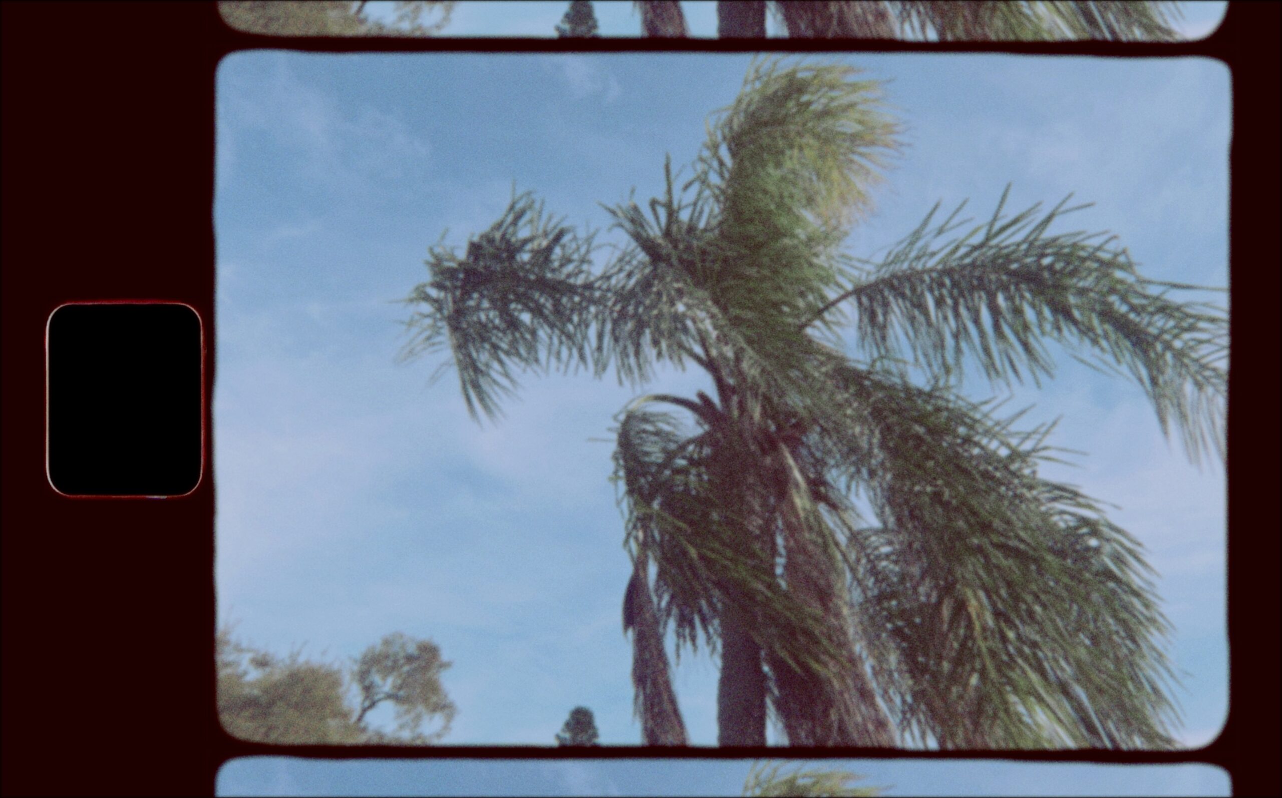 St. Petersburg gains tourists from new film incentives