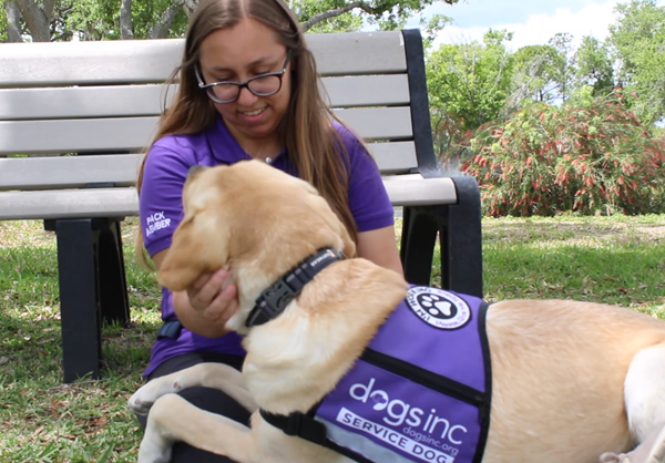 The making of a superhero: how Dogs Inc. trains working dogs