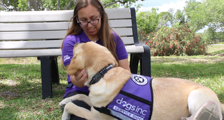 The making of a superhero: how Dogs Inc. trains working dogs