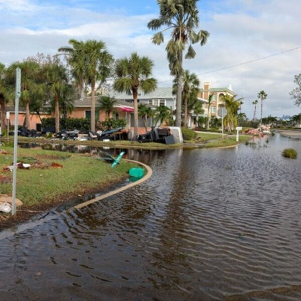 Prepared or at risk? Many young St. Pete renters lack hurricane plans