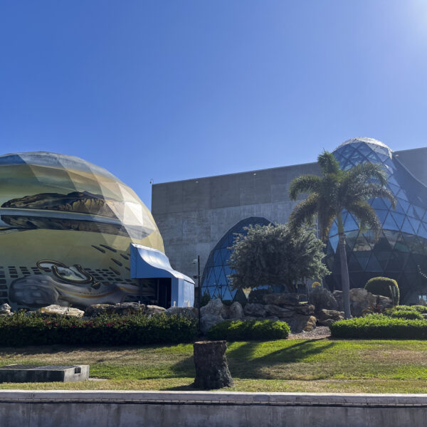 Increasing population in St. Petersburg demands funds for expansions of art museums