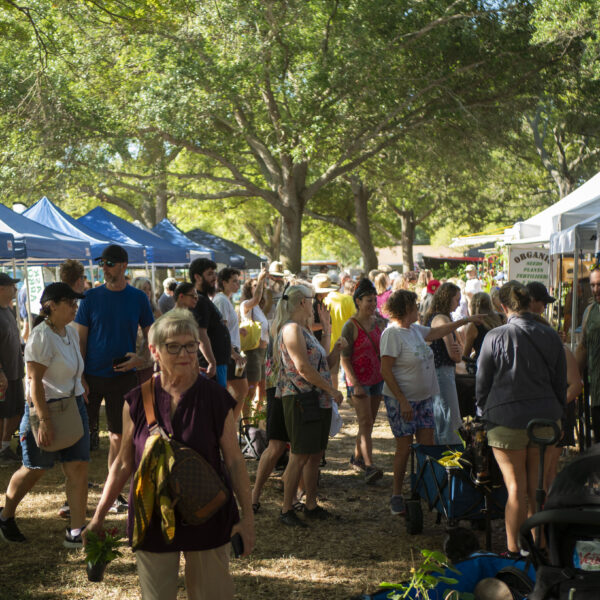 How green is the Green Thumb Festival?